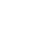 Tru-Q BBQ Logo